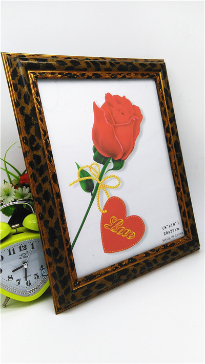 Photo album 8"x10"