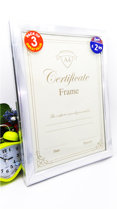 Silver Document Photo Frame
